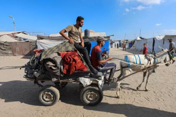 Pria Palestina yang terusir, Mohammed al-Sherif, duduk di atas barang-barangnya sambil menunggangi kereta keledai untuk kembali ke Kota Gaza, di Khan Younis, jalur Gaza selatan, 10 September 2025. REUTERS 