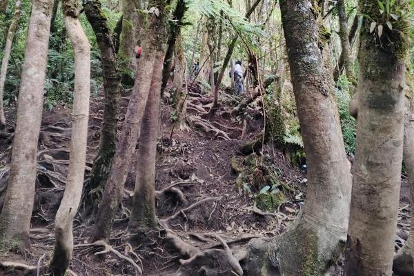 Ilustrasi - jalur gunung Gede via Putri (Foto: Vaza/Katakini.com) 