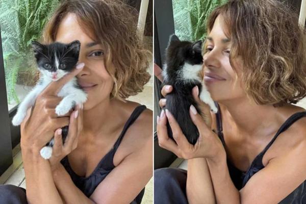 Halle Berry dengan seekor anak kucing liar yang nyasar ke halaman rumahnya. (FOTO: INSTAGRAM) 