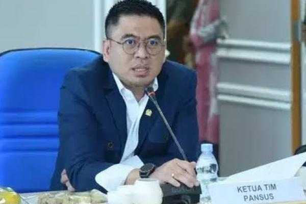 Ketua Panitia Khusus (Pansus) RUU Pengelolaan Ruang Udara DPR RI Endipat Wijaya. (Foto: Ist) 