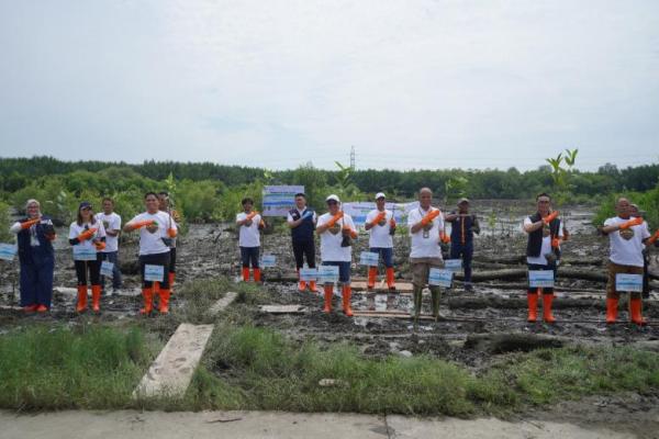 Penanaman mangrove di Danau Siombak, Medan, Sumatera Utara, Selasa (23/9/2025). Foto: dok. katakini 