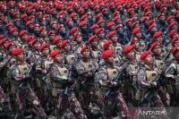 Tentara Nasional Indonesia (TNI) (Foto: ANTARA)