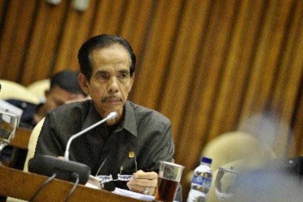 Eks Wakil Jaksa Agung (Foto: Antara/Yudhi Mahatma) 