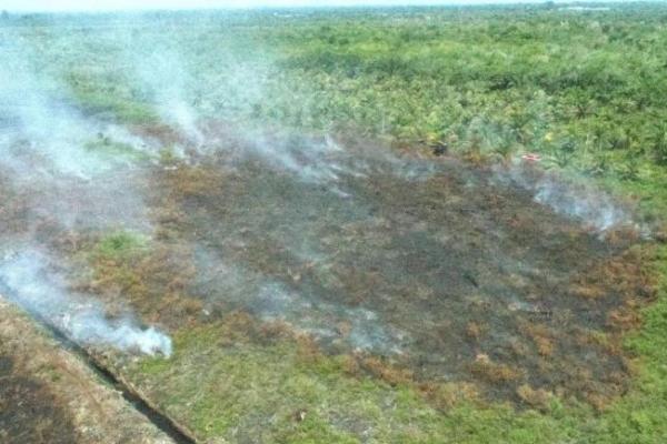 Kebakaran Lahan di Aceh Barat Meluas Jadi 2,3 Hektare