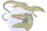 Reptil Jurassic yang Misterius Ini Tampak Seperti Campuran Ular dan Kadal