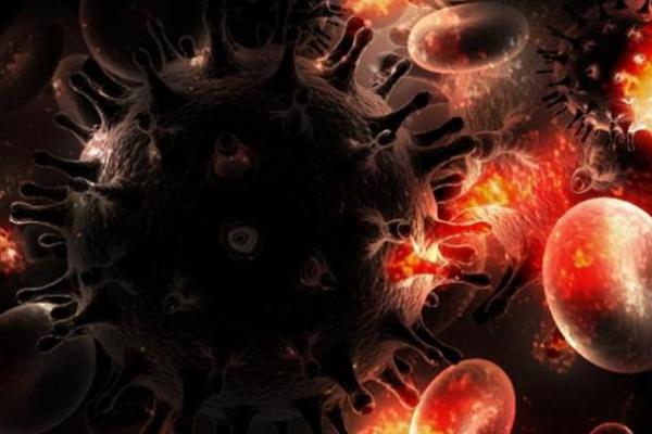 Ilustrasi - virus HIV (Foto: CCO) 
