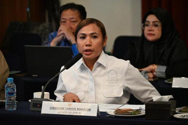 Anggota Komisi XII DPR RI Cheroline Chrisye Makalew (Foto: DPR) 