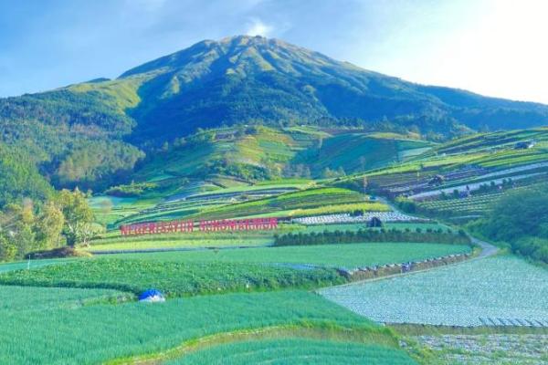 Ilustrasi - gunung Sumbing di Wonosobo, Jawa Tengah (Foto: wikipedia) 