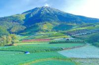 Mengapa Warna Kuning Dilarang saat Mendaki Gunung Sumbing?