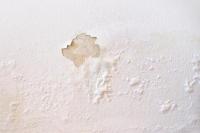 Cara Mencegah Tembok Rumah Lembap pada Musim Hujan