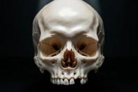 Ilmuwan Temukan Gigi Kuno Bisa Ungkap Pola Hidup Manusia Purba