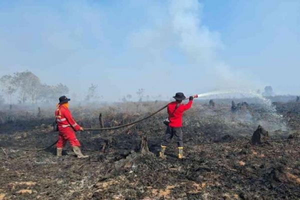 Brigade Manggala Agni Kemenhut dalam upaya pemadaman karhutla di wilayah Aceh, Sumatera Utara, dan Riau (Foto: Kemenhut) 