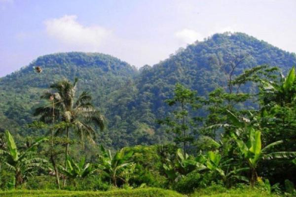 Gunung Sanggabuana di Karawang, Jawa Barat (Foto: Antara) 