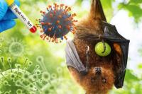 Peneliti BRIN Waspadai Virus Nipah Berpotensi jadi Wabah