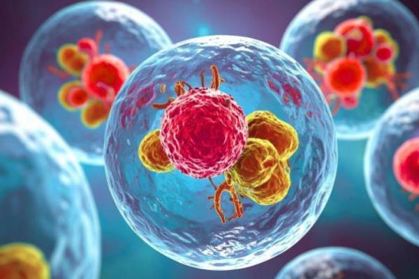 Ilustrasi - terapi kuda troya untuk membunuh sel kanker (Foto: Earth) 