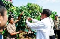 Deputi Bidang Koordinasi Pemberdayaan Masyarakat Desa, Daerah Tertinggal, dan Daerah Tertentu, Abdul Haris (Foto: Humas Kemenko PM)