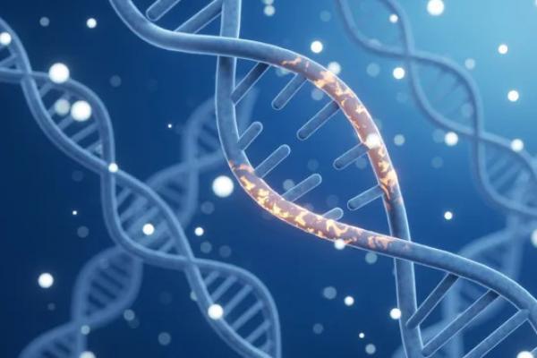 Ilmuwan mengidentifikasi varian genetik pada ibu yang berkaitan langsung dengan meningkatnya risiko keguguran akibat aneuploidi (Foto: Live Science) 