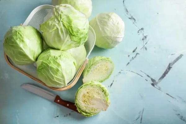 Ilustrasi - ini beragam jenis kubis dan manfaatnya untuk tubuh (Foto: hellosehat) 