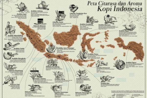 Ilustrasi - berbagai jenis kopi yang berasal dari Indonesia (Foto: Kementerian Pertanian Republik Indonesia/Direktorat Jenderal Perkebunan) 