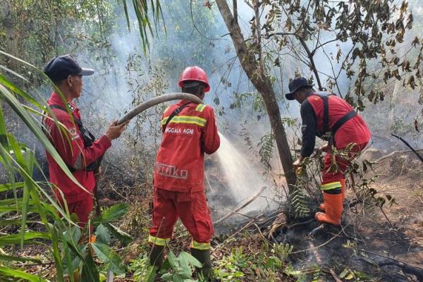 Brigade Manggala Agni Kemenhut dalam upaya pemadaman karhutla di wilayah Riau (Foto: Kemenhut) 