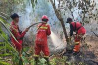 Brigade Manggala Agni Kemenhut dalam upaya pemadaman karhutla di wilayah Riau (Foto: Kemenhut)