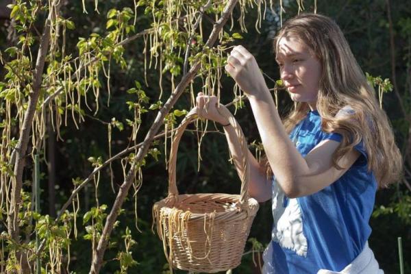 Ilustrasi - ini tujuh lelucon April Mop paling ikonik dari brand raksasa yang sempat membuat publik percaya (Foto: reddit) 