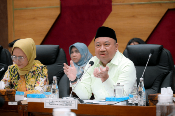 Wakil Ketua Komisi X DPR RI Lalu Hardian Irfani. Foto: dpr 
