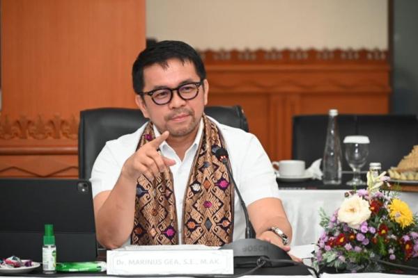 Anggota DPR RI Marinus Gea saat Komisi XIII DPR RI menggelar rapat kerja bersama Kantor Wilayah (Kanwil) Imigrasi Bali di Denpasar, Rabu (Foto: Istimewa) 