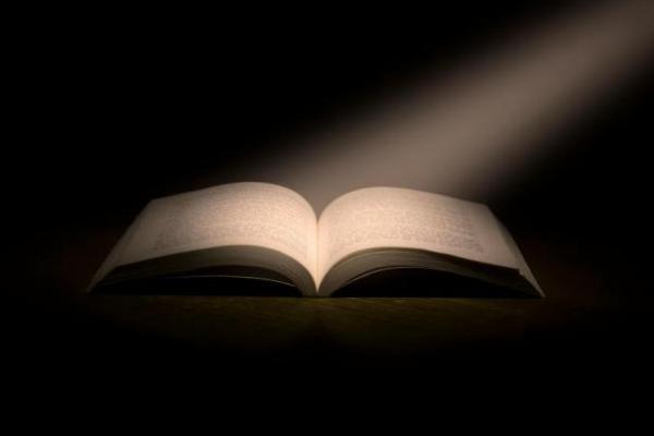 Ilustrasi - 20 contoh ucapan Hari Buku Nasional yang penuh makna, cocok untuk postingan medsos (Foto: Pexels/Nitin Arya) 