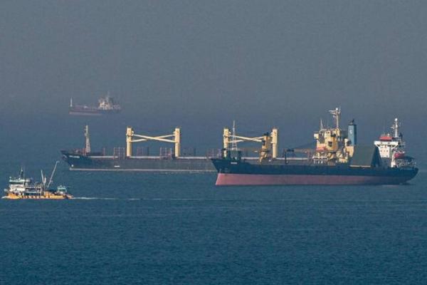 kapal-kapal di pintu masuk Selat Bosporus di Laut Hitam di lepas pantai Kumkoy, utara Istanbul (Foto: AFP) 