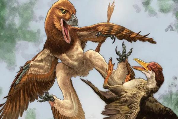 Foto : Ilustrasi predator sayap empat memburu burung purba di China (Live Science) 