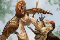 Foto : Ilustrasi predator sayap empat memburu burung purba di China (Live Science)