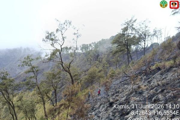 Kementerian Kehutanan (Kemenhut) bersama sejumlah instansi berhasil memadamkan kebakaran hutan di Hutan Savana Bukit Sempana, Desa Sembalun Bumbung, Kecamatan Sembalun, Kabupaten Lombok Timur (Foto: Kemenhut) 