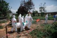 Ilustrasi - kasus ebola di Kongo (Foto: AFP)