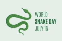 Ilustrasi - Hari Ular Sedunia diperingati setiap 16 Juli, ini sejarahnya (Foto: RRI)