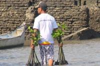 BNI Perkuat Rehabilitasi Mangrove dan Pemberdayaan Ekonomi Pesisir