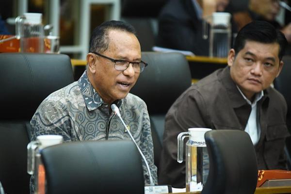 Anggota Komisi IV DPR Usman Husin (Foto: DPR) 