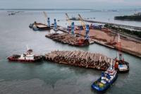 Arus Barang di Pelindo Multi Terminal Capai 59,59 Juta Ton pada Semester Pertama 2026