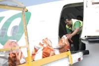Maskapai Citilink mendistribusikan barang bantuan kemanusiaan bagi korban gempa di Nusa Tenggara Timur (NTT). Foto: citilink/katakini