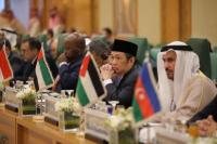 Anis Matta Desak OKI Menuntut Israel Atas Kejahatan Kemanusiaan dan Terorisme