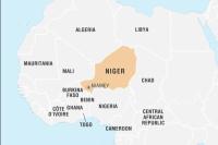 Gagal Lakukan Kudeta, Puluhan Tentara Niger Ditangkap