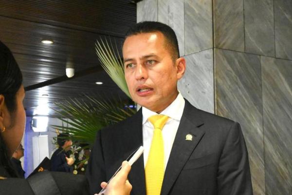 Anggota Komisi V DPR RI, Musa Rajekshah. (Foto: dpr.go.id) 