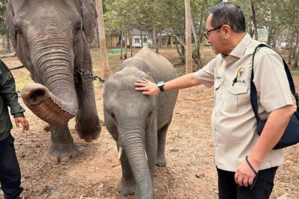 Anggota Komisi IV DPR RI Firman Soebagyo di Taman Nasional Way Kambas (TNWK), Lampung. Foto: dpr/katakini  