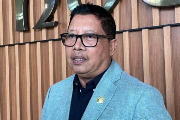 Anggota Komisi VI DPR RI Fraksi Partai NasDem Nengah Senantara. Foto: dpr/katakini 
