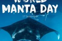 Hari Manta Sedunia Setiap 17 September, Ini Sejarahnya