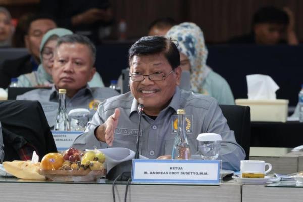 Ketua BAKN DPR Andreas Eddy Susetyo. (Foto: dpr.go.id) 