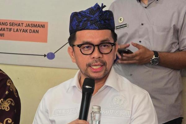 Anggota MPR RI sekaligus Anggota Komisi XIII DPR RI, Marinus Gea (Foto: Humas MPR) 