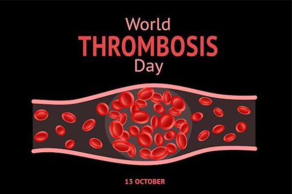 Hari Trombosis Sedunia setiap 13 Oktober, ini sejarah dan tujuannya (Foto: Freepik) 