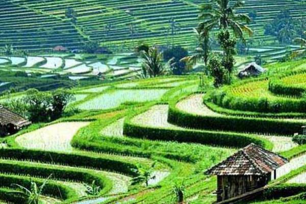 Ubud Bali Masuk 10 Kota Wisata Terbaik 2020