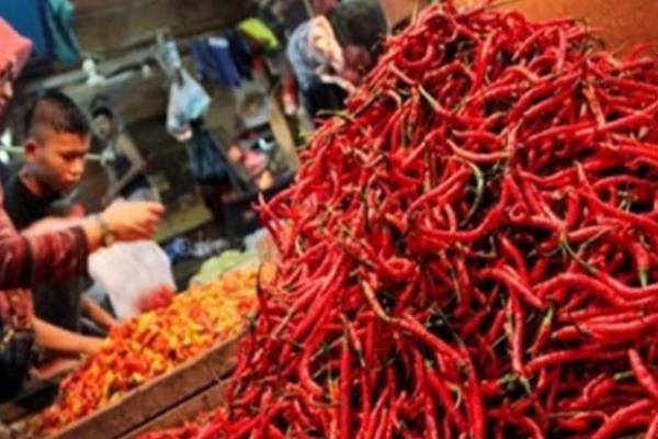 Harga Cabai Mahal, Ekonom Sarankan Rekayasa Kuliner